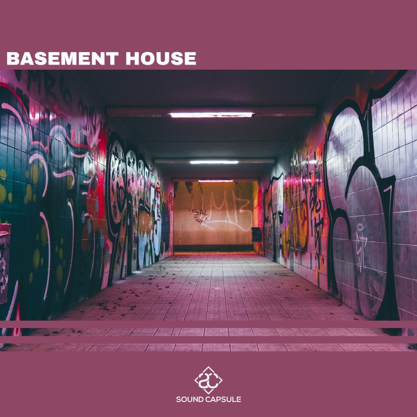Basement House