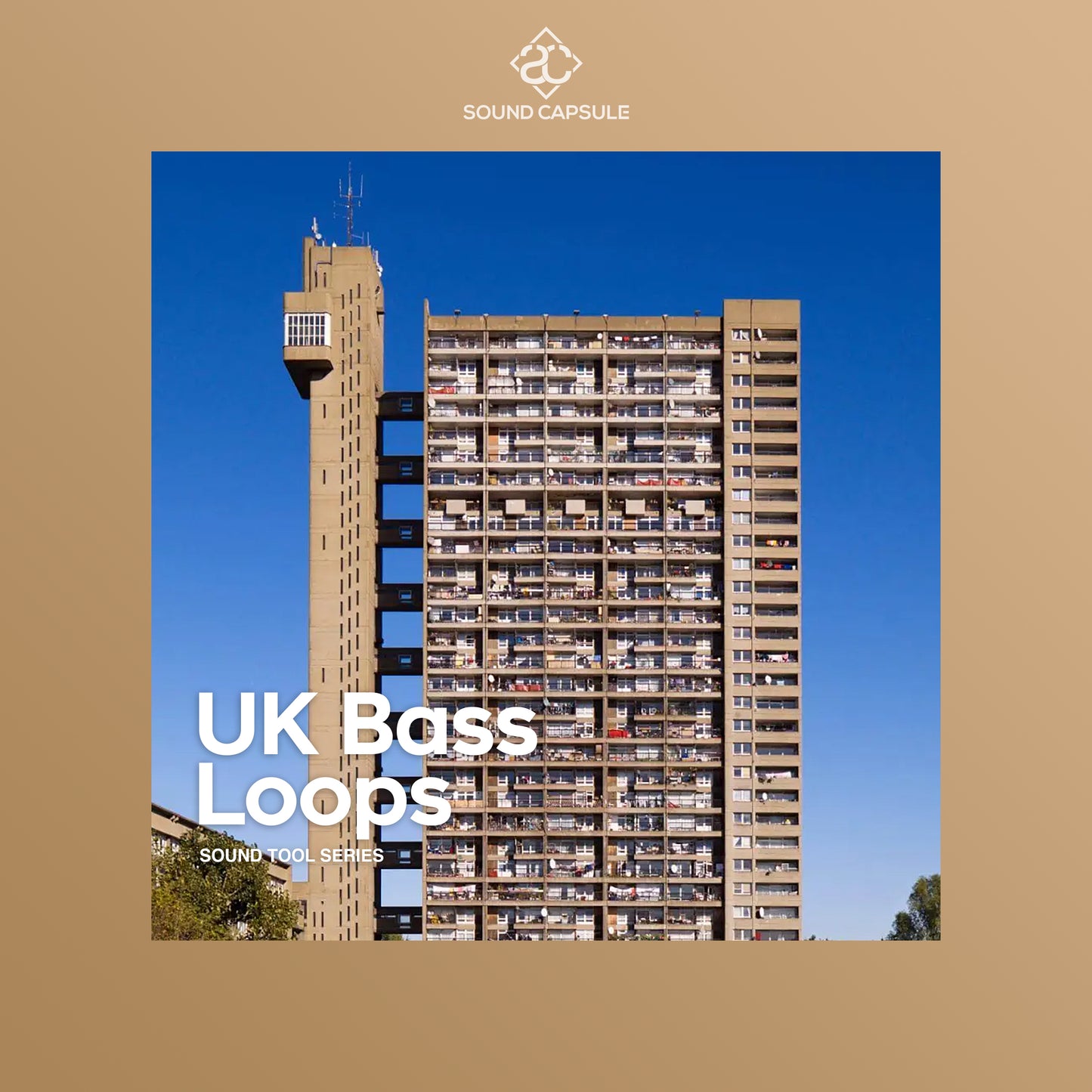 Uk Bass Loops - Sound Tool Series