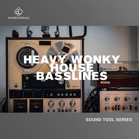 Heavy Wonky House Basslines